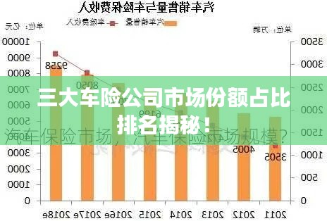 三大车险公司市场份额占比排名揭秘！