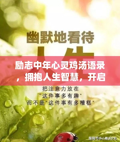 励志中年心灵鸡汤语录，拥抱人生智慧，开启无限可能