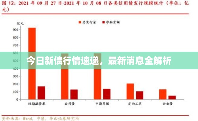 今日新债行情速递，最新消息全解析