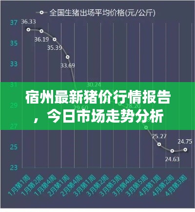 宿州最新猪价行情报告，今日市场走势分析