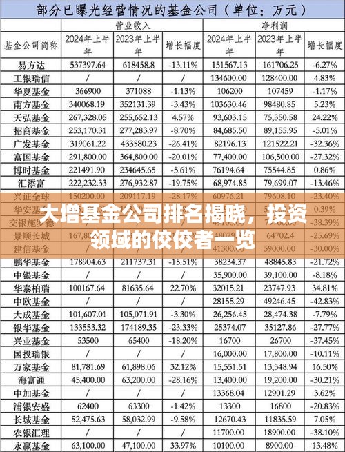 大增基金公司排名揭晓，投资领域的佼佼者一览