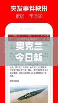 奥克兰今日新闻快报，最新动态一网打尽