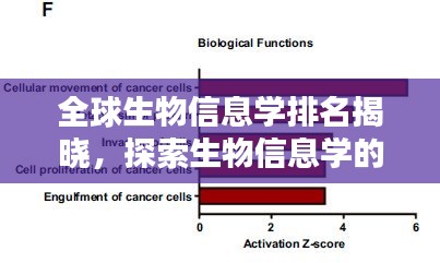 全球生物信息学排名揭晓，探索生物信息学的最新全球格局