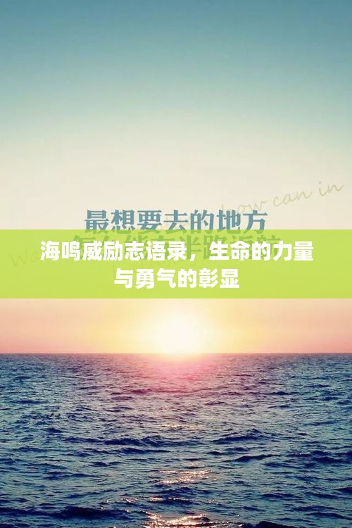 海鸣威励志语录，生命的力量与勇气的彰显