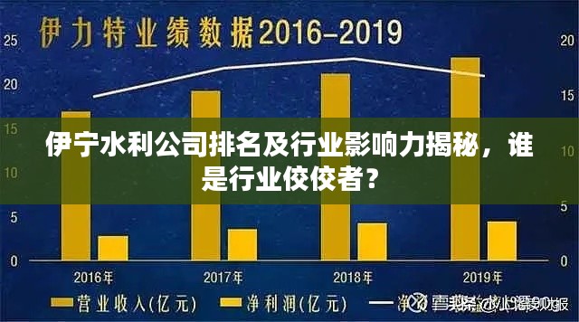 伊宁水利公司排名及行业影响力揭秘，谁是行业佼佼者？