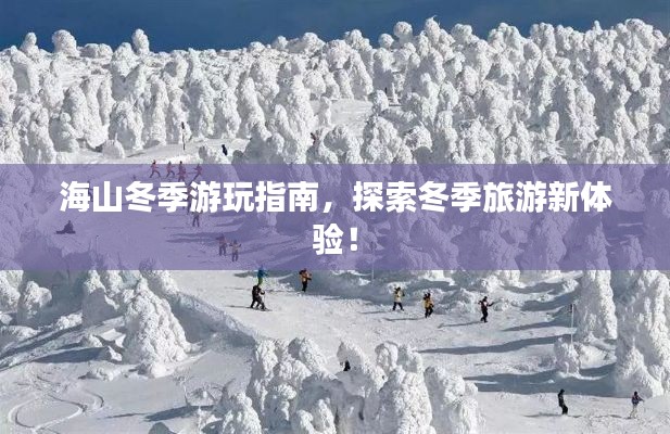 海山冬季游玩指南，探索冬季旅游新体验！