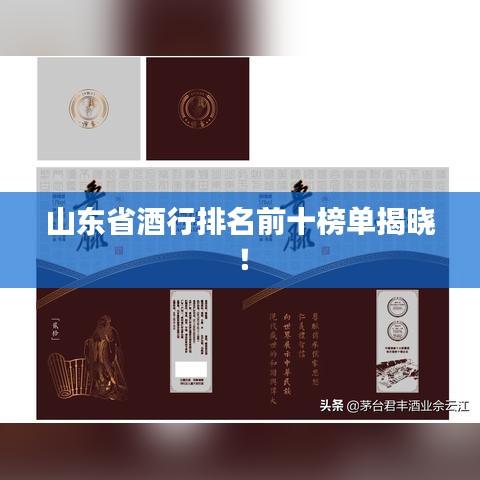 山东省酒行排名前十榜单揭晓！