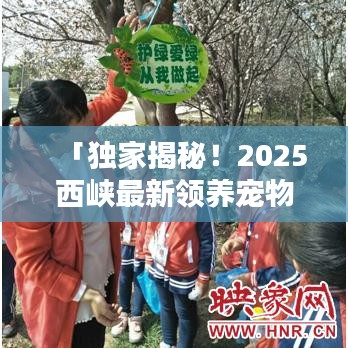 「独家揭秘！2025西峡最新领养宠物指南，让你的宠物生活从此无忧！」