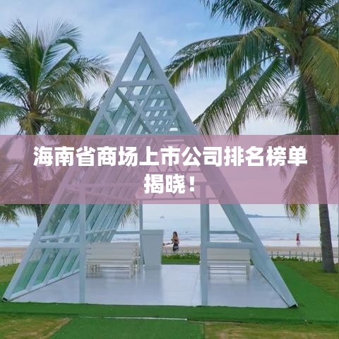 海南省商场上市公司排名榜单揭晓！