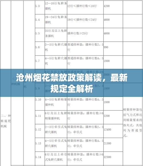 沧州烟花禁放政策解读，最新规定全解析