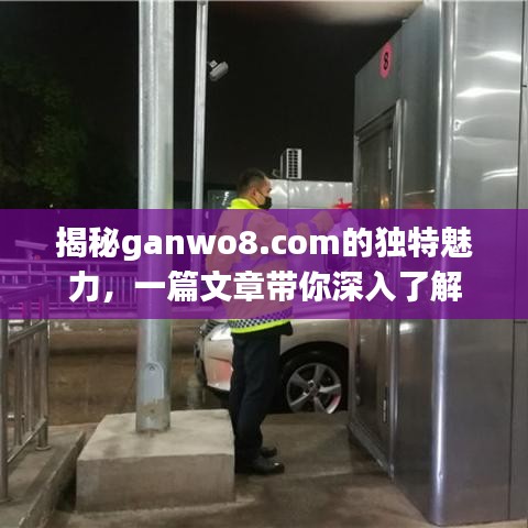 揭秘ganwo8.com的独特魅力，一篇文章带你深入了解