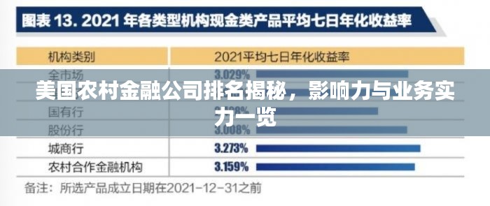 美国农村金融公司排名揭秘，影响力与业务实力一览