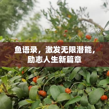 鱼语录，激发无限潜能，励志人生新篇章