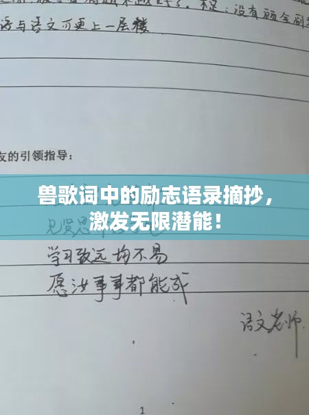 兽歌词中的励志语录摘抄，激发无限潜能！