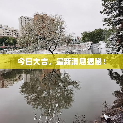 今日大吉，最新消息揭秘！