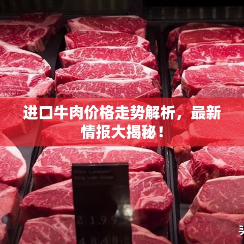 进口牛肉价格走势解析，最新情报大揭秘！