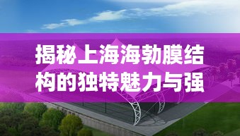 揭秘上海海勃膜结构的独特魅力与强大实力