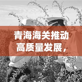 青海海关推动高质量发展，强化监管，优化服务，新闻头条瞩目