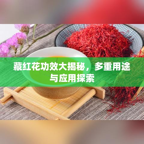 藏红花功效大揭秘，多重用途与应用探索