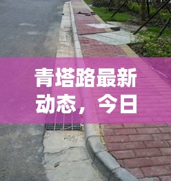 青塔路最新动态，今日新闻一览