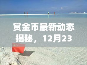 赏金币最新动态揭秘，12月23日探索之旅即将开启