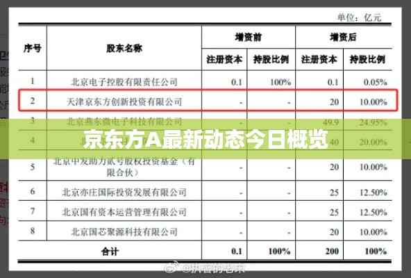 京东方A最新动态今日概览