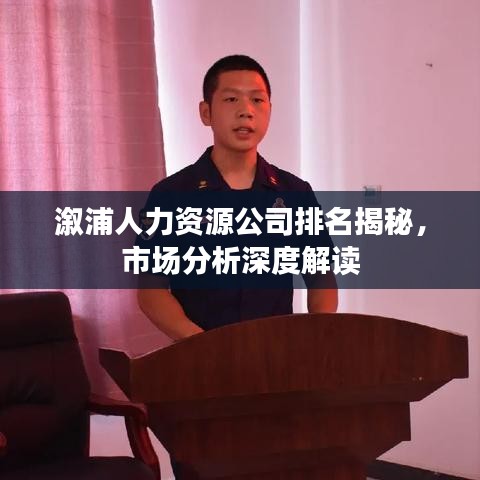 溆浦人力资源公司排名揭秘，市场分析深度解读