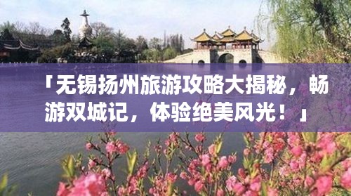 「无锡扬州旅游攻略大揭秘，畅游双城记，体验绝美风光！」