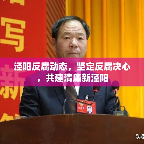 泾阳反腐动态，坚定反腐决心，共建清廉新泾阳