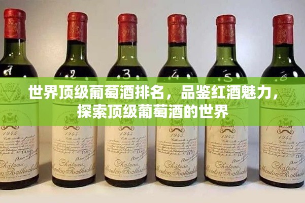 世界顶级葡萄酒排名，品鉴红酒魅力，探索顶级葡萄酒的世界