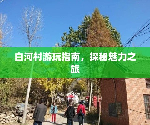 白河村游玩指南，探秘魅力之旅