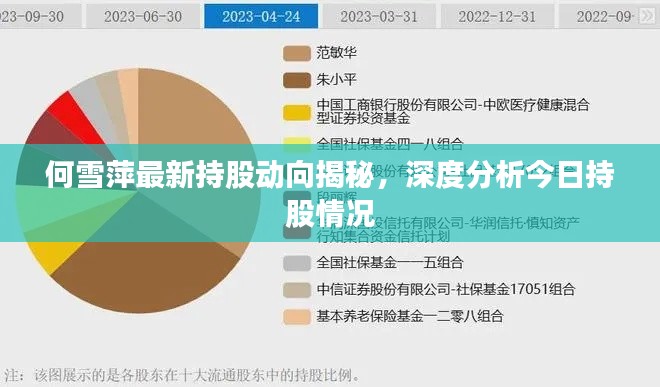 何雪萍最新持股动向揭秘，深度分析今日持股情况