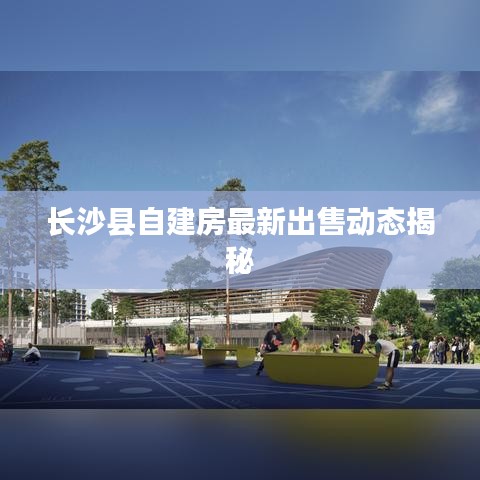 长沙县自建房最新出售动态揭秘