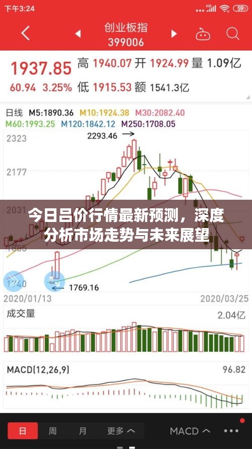 今日吕价行情最新预测，深度分析市场走势与未来展望