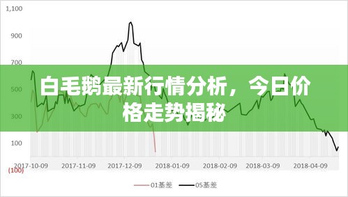 白毛鹅最新行情分析，今日价格走势揭秘