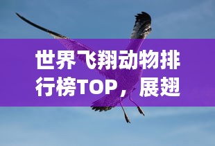 世界飞翔动物排行榜TOP，展翅翱翔的飞行王者