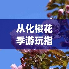 从化樱花季游玩指南，浪漫赏花之旅