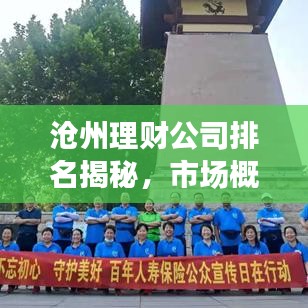 沧州理财公司排名揭秘，市场概况深度剖析