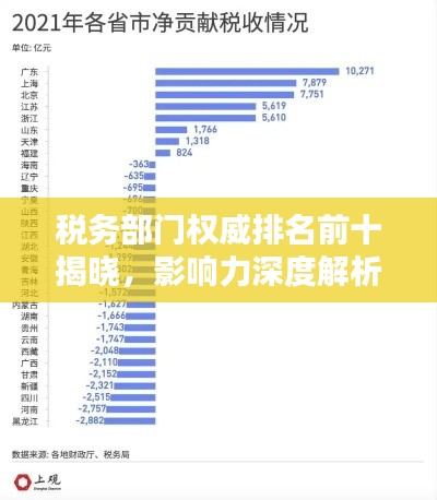 税务部门权威排名前十揭晓，影响力深度解析