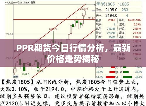 PPR期货今日行情分析，最新价格走势揭秘