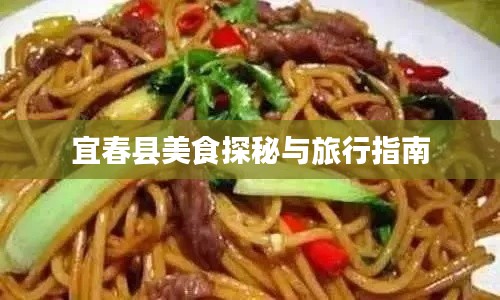 宜春县美食探秘与旅行指南