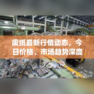 废纸最新行情动态，今日价格、市场趋势深度解析