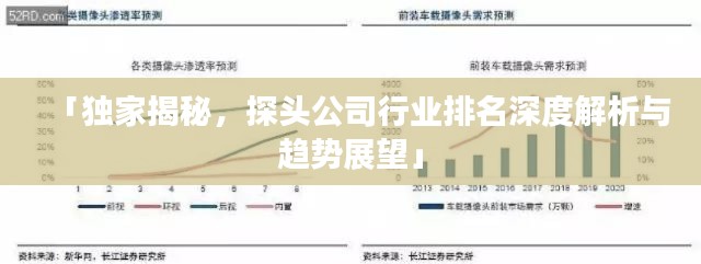 「独家揭秘，探头公司行业排名深度解析与趋势展望」