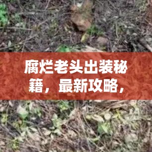 腐烂老头出装秘籍，最新攻略，百度收录标准，吸引目光！