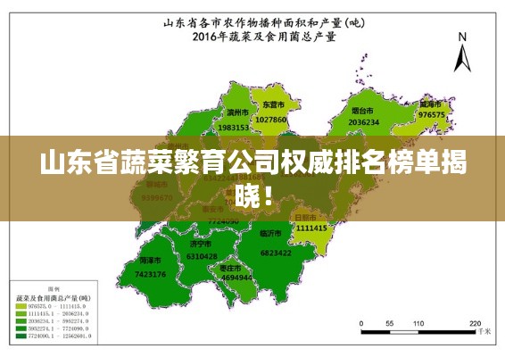 山东省蔬菜繁育公司权威排名榜单揭晓！