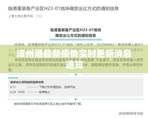 漳州港最新疫情实时更新消息通知