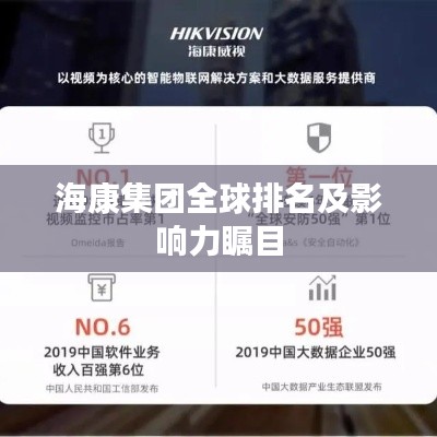 海康集团全球排名及影响力瞩目