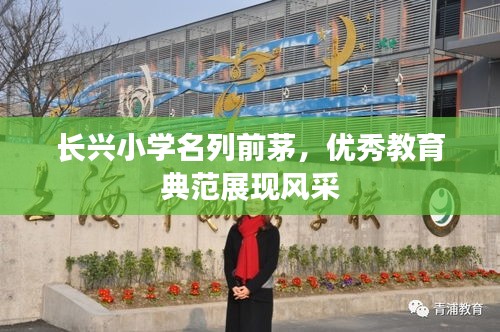 长兴小学名列前茅，优秀教育典范展现风采