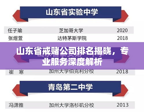 山东省戒赌公司排名揭晓，专业服务深度解析