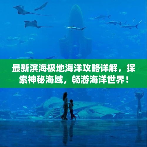 最新滨海极地海洋攻略详解，探索神秘海域，畅游海洋世界！